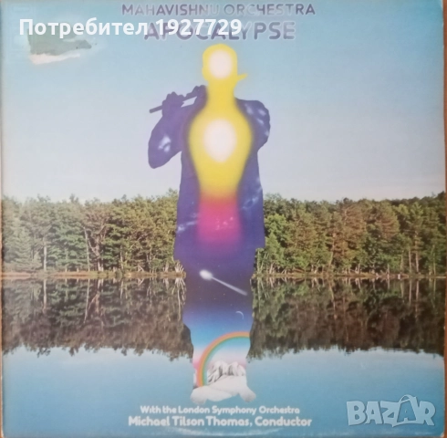 Грамофонни плочи за ценители, снимка 5 - Грамофонни плочи - 52178702