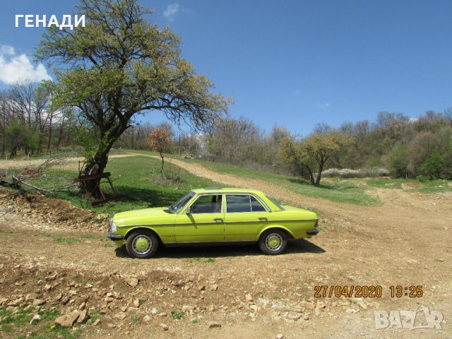 продава земеделска земя в с.Боснек, снимка 3 - Земеделска земя - 29111692