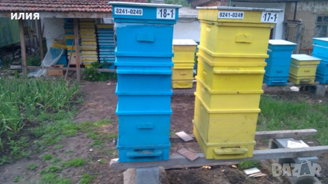 Пчелни отводки, снимка 8 - За пчели - 39565893