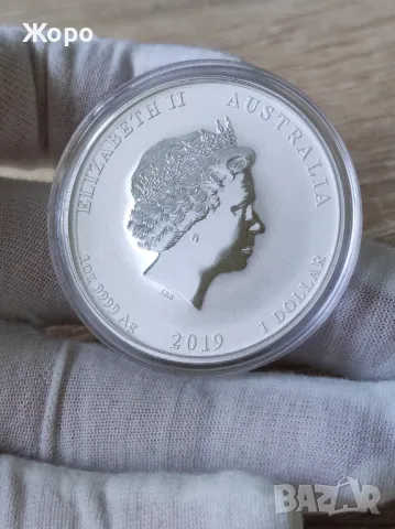 1 унция 2019 "година на прасето" (оцветена), снимка 2 - Нумизматика и бонистика - 49987730