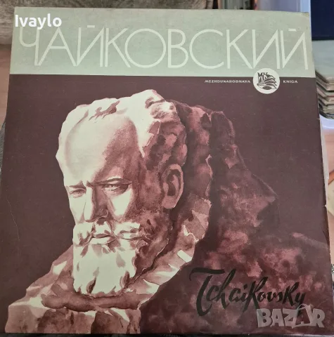 Плочи за грамофон  Грамофонни плочи, снимка 8 - Грамофонни плочи - 56433550