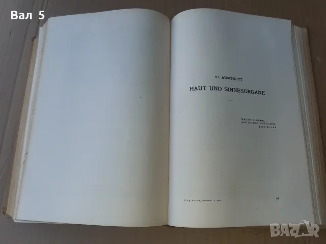 Стар учебник АНАТОМИЯ НА ЧОВЕКА 1935 г - 880 стр . РЯДЪК !!!, снимка 9 - Специализирана литература - 55991969