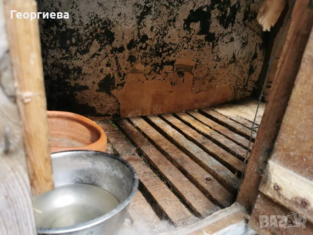 Клетки за зайци, снимка 3 - За гризачи - 56242313