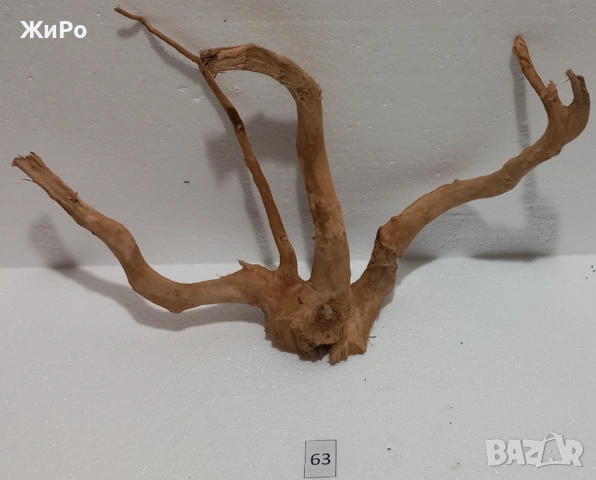 Корен от Азалия /декорация/ 63