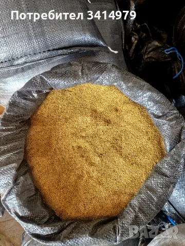 Продавам семе люцерна 