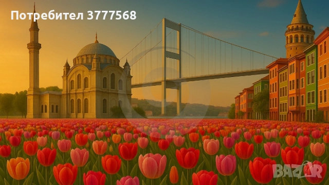 Фестивал на лалетата, снимка 2 - Почивки в Турция - 52604358