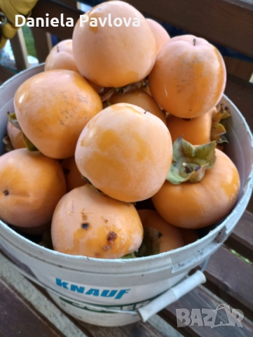 Райски ябълки , снимка 2 - Други - 52354141