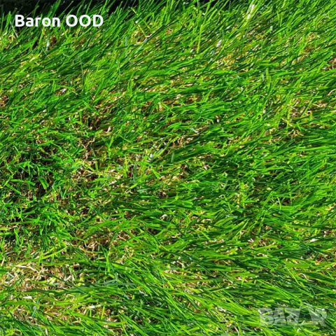 Изкуствена трева - 5 см в Изкуствени цветя в гр. Бургас - ID39986571 —  Bazar.bg
