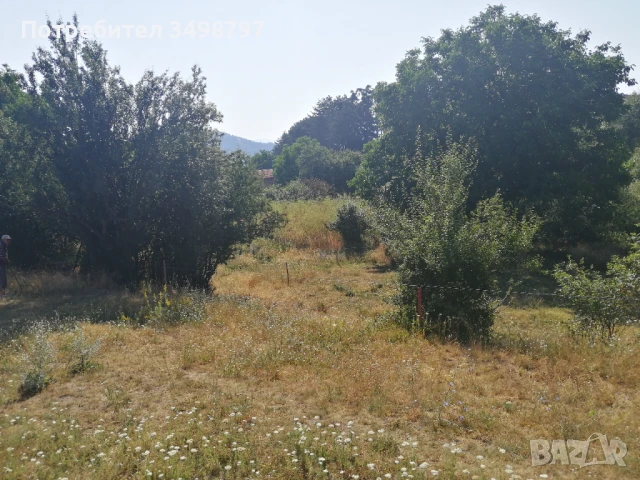 Продава ЗЕМЕДЕЛСКА ЗЕМЯ, гр. Велинград, област Пазарджик, снимка 5 - Земеделска земя - 50982583