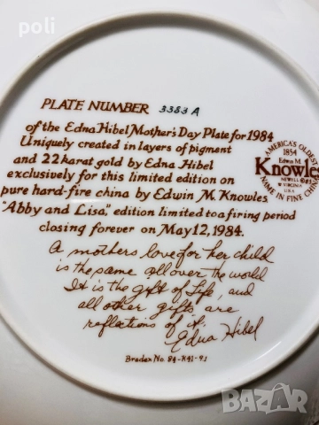 порцеланова чиния за стена , снимка 4 - Декорация за дома - 51641569