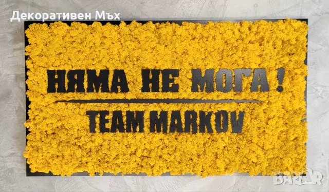 Изработка на фирмени лога/надписи с естествен скандинавски мъх, снимка 2 - Други услуги - 29022114
