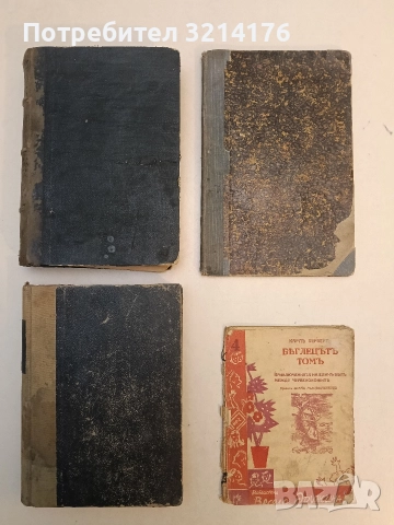 Малкия Пиеръ -  Анатол Франс, снимка 4 - Художествена литература - 52693732