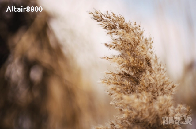 Nikon AF 35-70mm f/2.8D Nikkor обектив Никон #2/4, снимка 12 - Обективи и филтри - 52248051