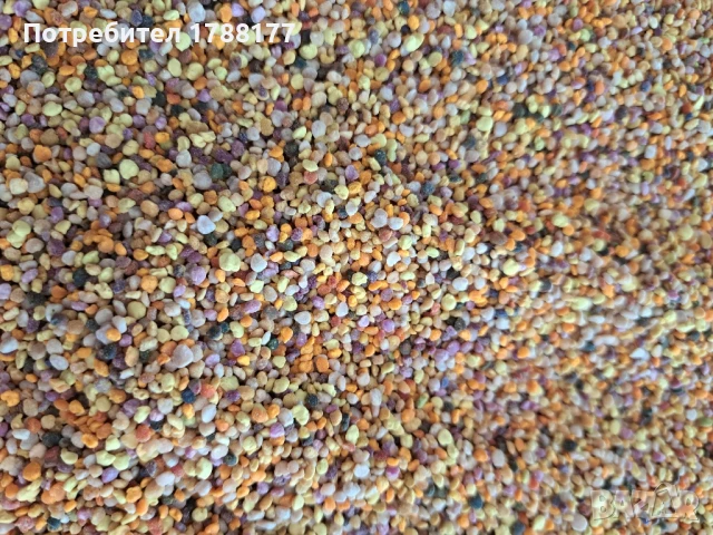Пчелен прашец , снимка 6 - Пчелни продукти - 51317272