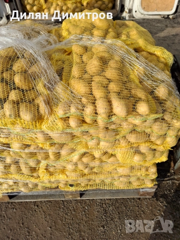 Картофи за консумация 10кг гаци 0.65лв/кг, снимка 2 - Домашни продукти - 52500027