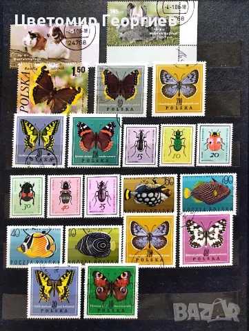 Животни 227 бр. К.2