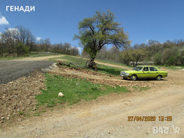 продава земеделска земя в с.Боснек, снимка 2 - Земеделска земя - 29111692