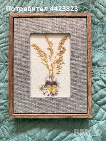 Декорация от хербаризирани растения, снимка 2 - Декорация за дома - 53961524