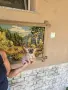 ЧИХУАХУА мъжки женски , снимка 7