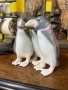 Порцеланова фигурка „Трио пингвини“ от Копенхаген.  , снимка 4