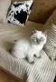 Готов за нов Дом, снимка 2