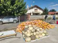 Продавам тикви на едро, снимка 2