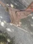 Стар железен плуг, снимка 3