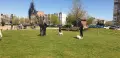 Джак ръсел териер , снимка 8