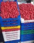 Продавам елитен разсад ягоди и малини , снимка 10