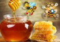 Продавам полифлорен пчелен мед - 8 лв. на буркан с винтова капачка, снимка 1 - Пчелни продукти - 15252670