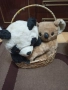 Продавам плюшени играчки, снимка 1