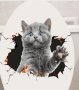 Сиво пухкаво коте стикер лепенка за стена мебел или тоалетна чиния за капака, снимка 2