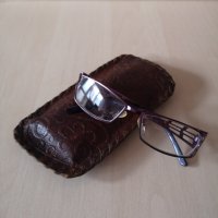  Калъф за очила, снимка 3 - Слънчеви и диоптрични очила - 33272478