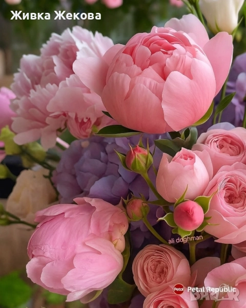 уроци по български език, литература и английски език , снимка 1