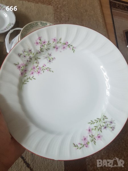 Чинии, снимка 1