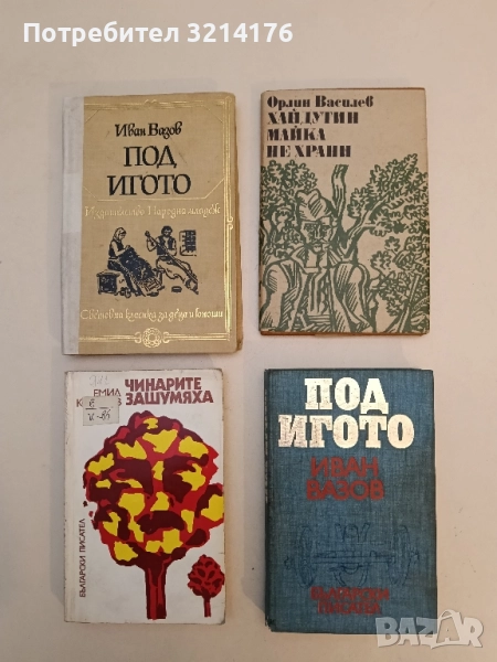 Хайдутин майка не храни - Орлин Василев, снимка 1