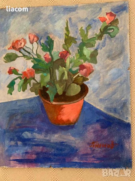 ПЕТЪР НЕНОВ масло/натюрморт, снимка 1