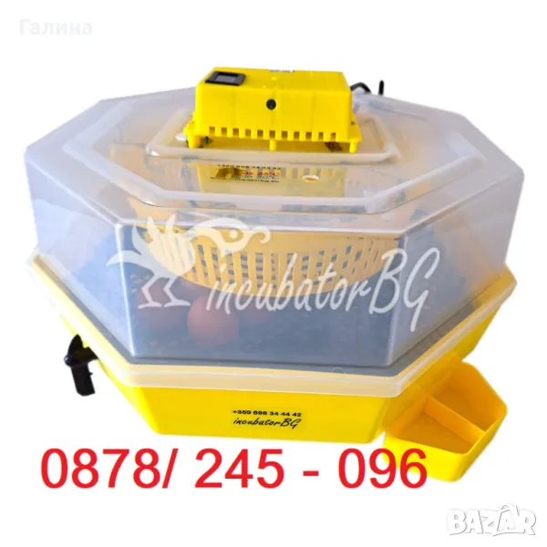 Инкубатор Cleo 5 DTH+  за 41 яйца с влагомер и външни ванички от официалният за БГ представител, снимка 1