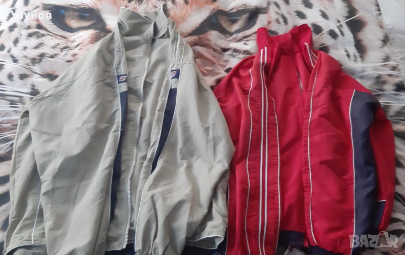 Мъжки пролетни горнища, снимка 1