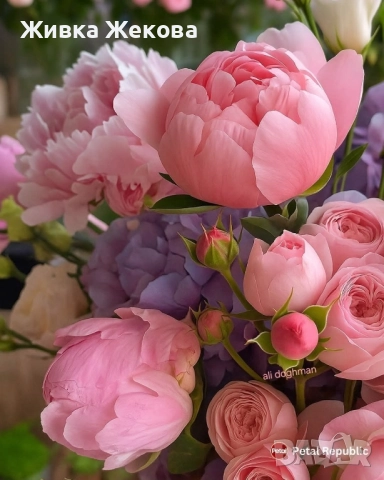 уроци по български език, литература и английски език 