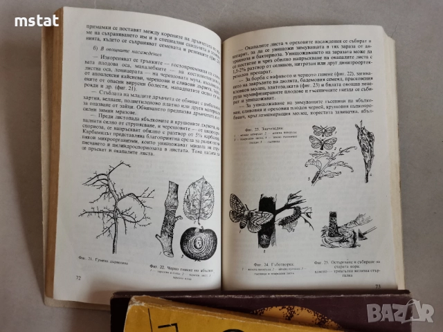 Книги за пчелари и овощари, снимка 3 - Специализирана литература - 52834249
