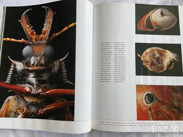 Специално колекционерско издание на списание National Geographic България – „100 най-добри снимки“, снимка 5 - Списания и комикси - 56052152