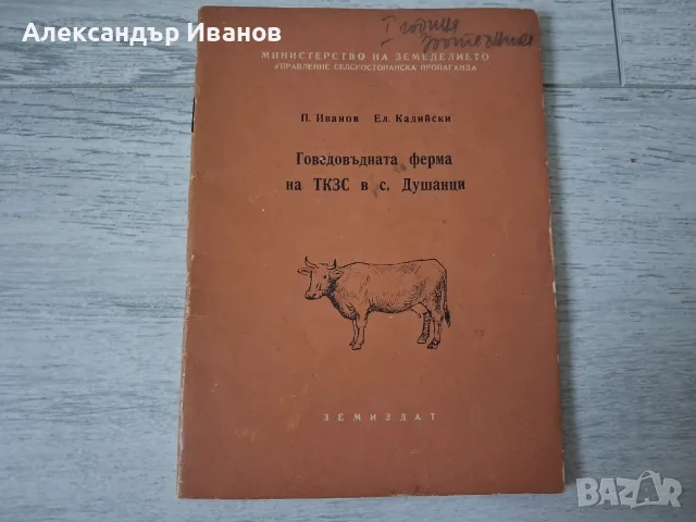 Стара книга,брошура "Говедовъдна ферма в с. душанци" 1955 г.