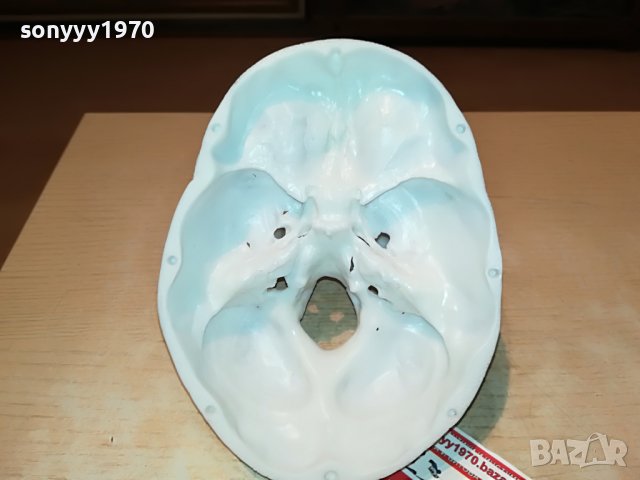 ЧЕРЕП-ВНОС ГЕРМАНИЯ 1806222011, снимка 13 - Колекции - 37127150