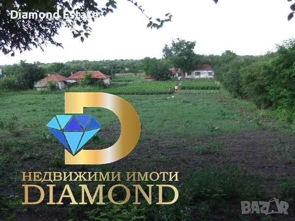 Едноетажна къща в село Пъстрен, обл. Стара Загора, снимка 4 - Къщи - 54189948