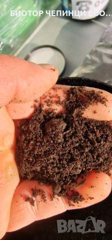 📦 Компост от Прегоряла Трева-Рай Грас 50л чували, снимка 7 - Тор и почвени смеси - 47847251