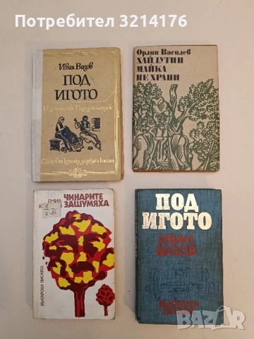 Хайдутин майка не храни - Орлин Василев