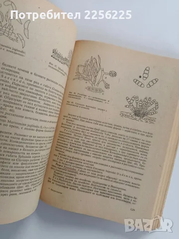 Фитопатология 1974г, снимка 7 - Специализирана литература - 56271326