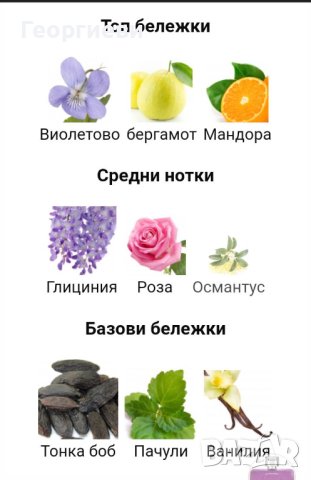 Gucci Guilty Elixir 2023 W, снимка 7 - Дамски парфюми - 42378181