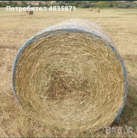 Бали ливадно сено и люцерна, снимка 2 - За селскостопански - 55900493